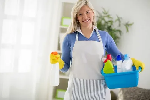 maids cleaning services