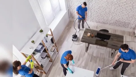 Professional Cleaning Services in Cairo, Egypt