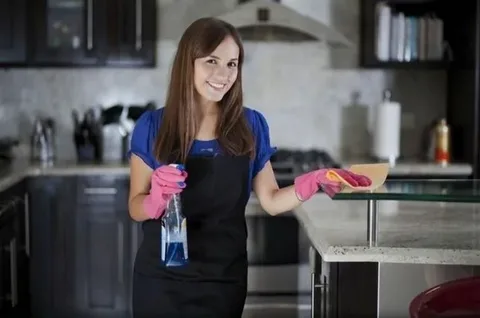 Home Maids Cleaning Services
