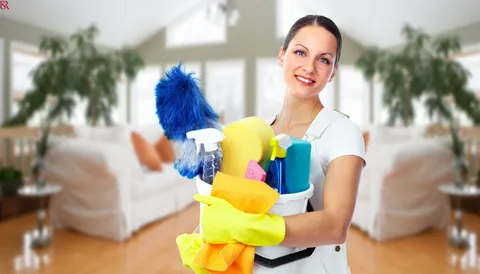 Home Maids Cleaning Services