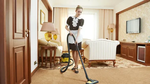 Home Maids Cleaning Services