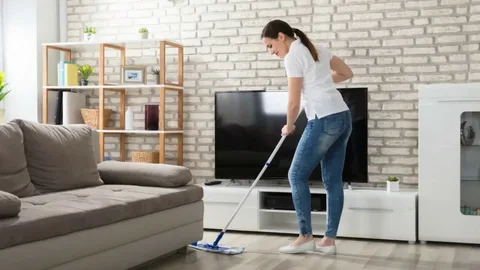 Furniture Cleaning