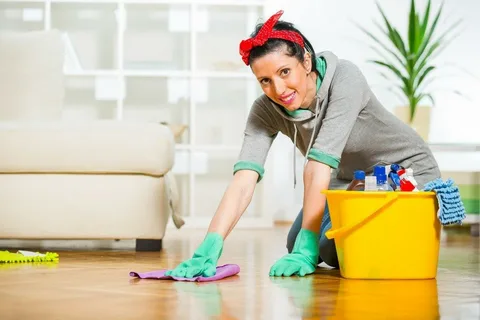 Domestic Maids