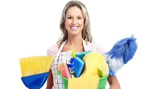 Domestic Maids