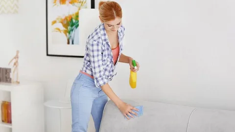Sofa Cleaning