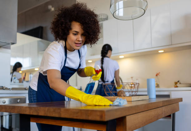 Housemaids