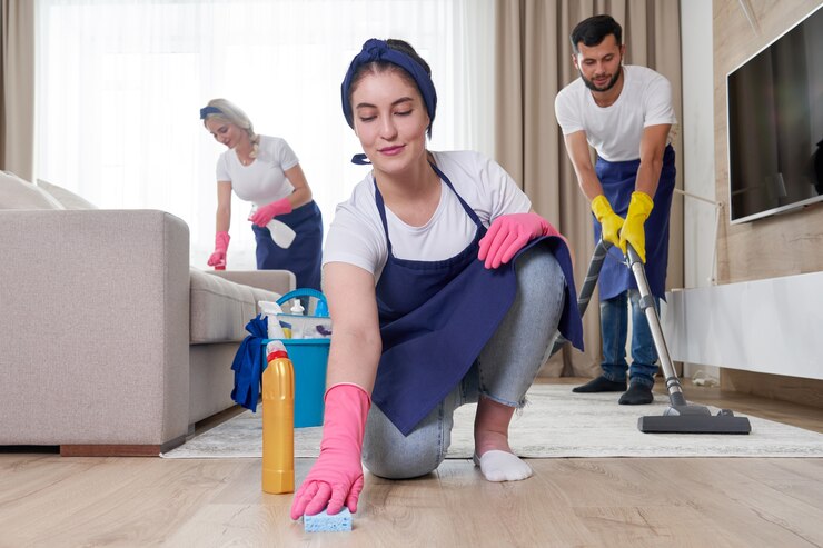Household Cleaning